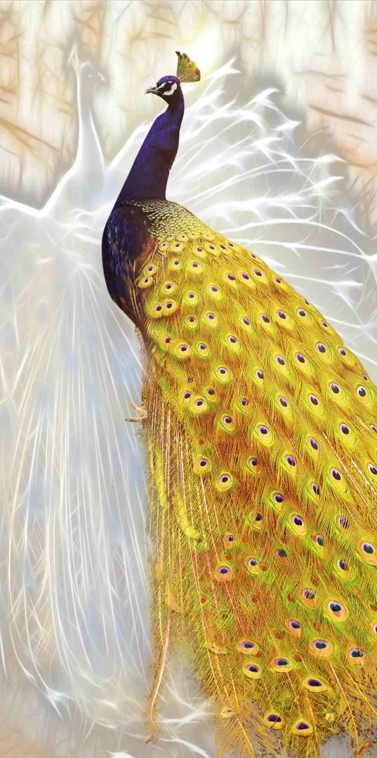 Elegant peacock wall art with vibrant feathers, perfect for modern luxury home decor.