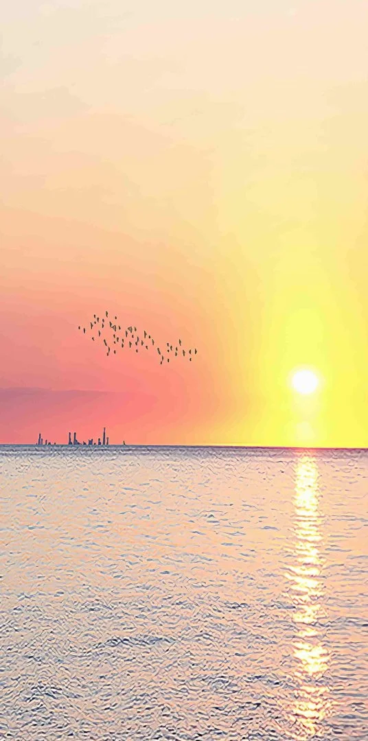 Sunset over ocean with distant city skyline and flock of birds.
