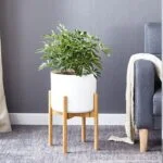 Modern indoor planter with green plant in white pot on wooden stand in living room.