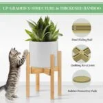 Modern bamboo planter with green plant and playful kitten.