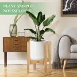 Modern living room with decorative plant stand and stylish furniture.