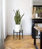 Modern indoor planter with green plant in a stylish living room corner.