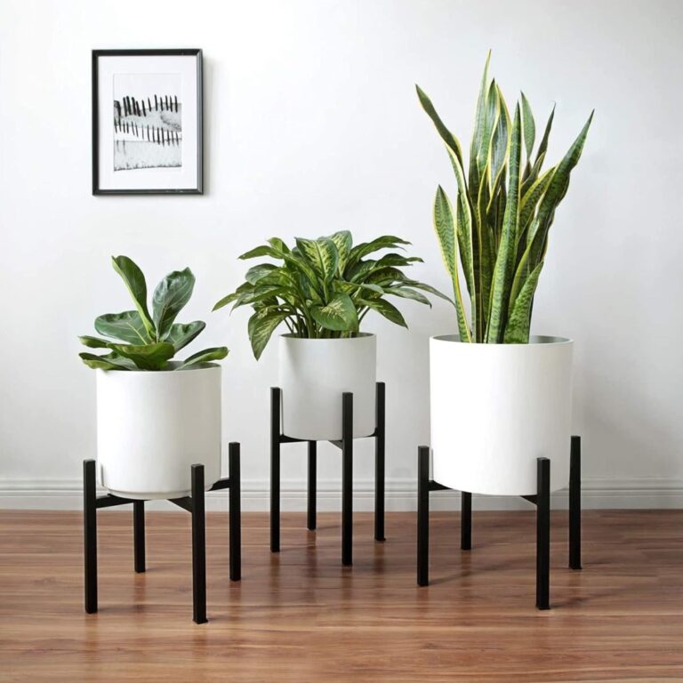 Modern indoor planters with green plants and framed wall art in a stylish room.