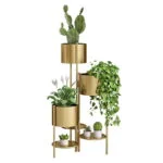 Gold metal indoor planters with various plants for modern home decor.