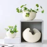 Modern decorative vases with green plants on a white shelf.