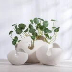 Modern decorative white ceramic vases with green plants for luxury home decor.
