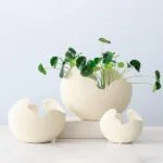Modern ceramic vases with green plants, perfect for luxury home decor and interior accessories.