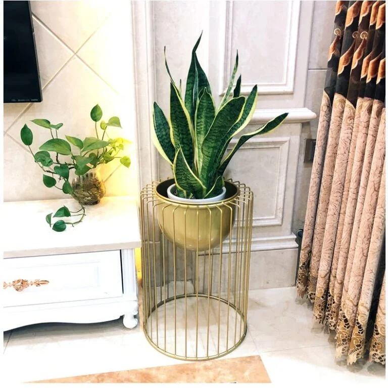 Modern indoor planter with snake plant in a gold metal stand, enhancing luxury home decor.