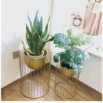 Modern indoor planters with green plants in gold metal stands by a window.