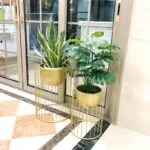 Modern gold metal planters with green indoor plants in a stylish home setting.