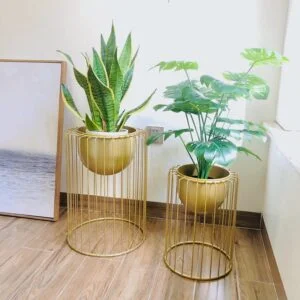 Modern gold metal planters with green plants in a bright room.