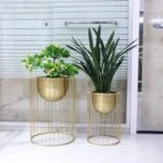 Modern gold metal planters with green plants for luxury home decor