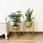 Modern gold metal planters with green plants in a stylish home setting.