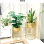 Modern gold metal planters with lush green indoor plants in a luxury home setting.
