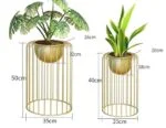 Gold metal planters with green plants, modern home decor.