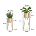Gold metal indoor planters with green plants, modern home decor.